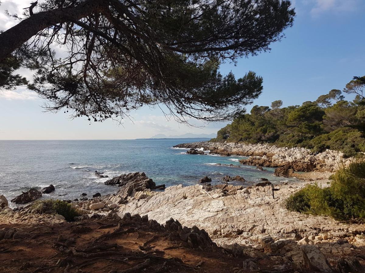 Penthouse Antibes Apartment Екстер'єр фото